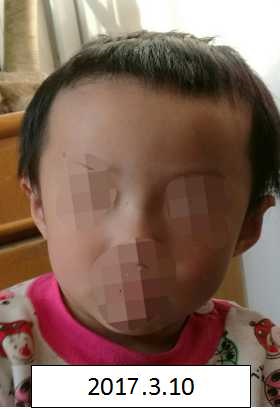 男女艹逼免费